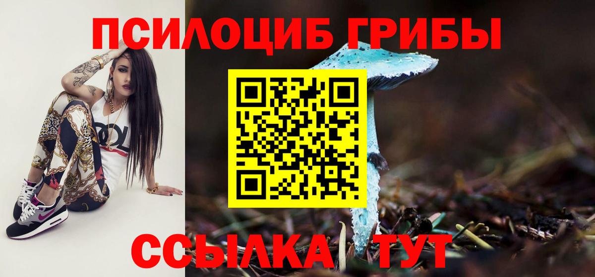 Псилоцибиновые грибы Psilocybine cubensis Ессентуки