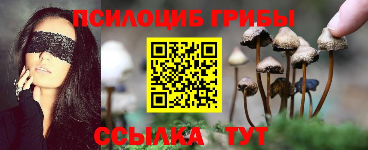 Ессентуки  Псилоцибиновые грибы Psilocybine cubensis  где можно купить   Вход с VPN 
