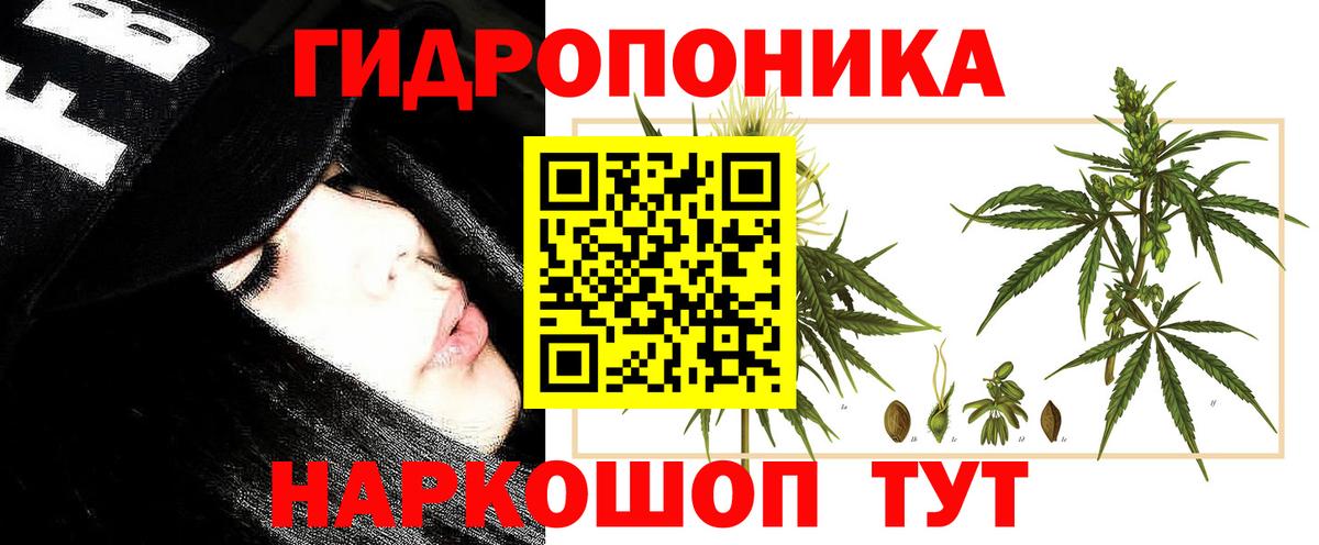 Шишки марихуана сатива Ессентуки